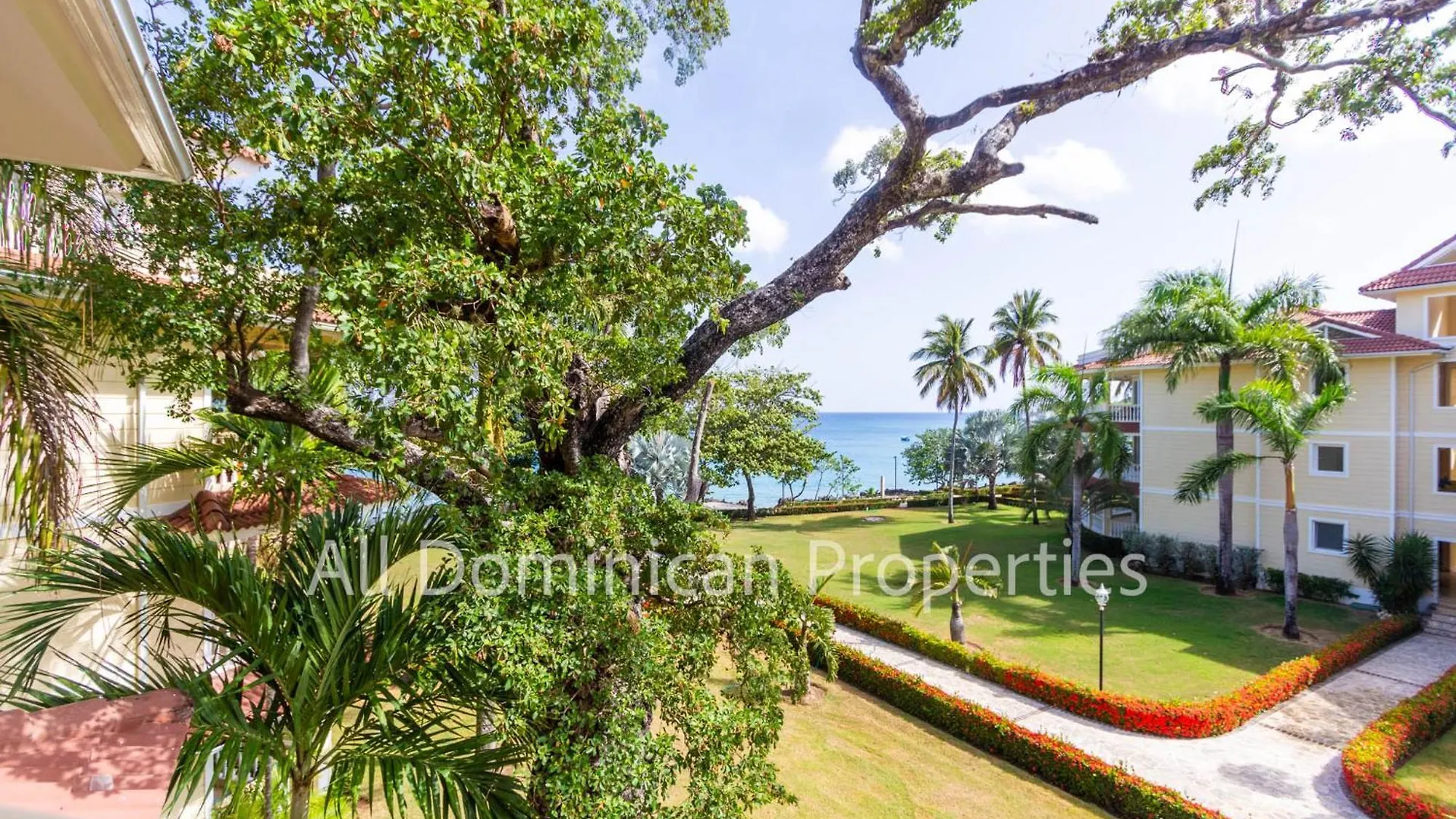 Hispaniola Beach Official, Sosua! Appartamento