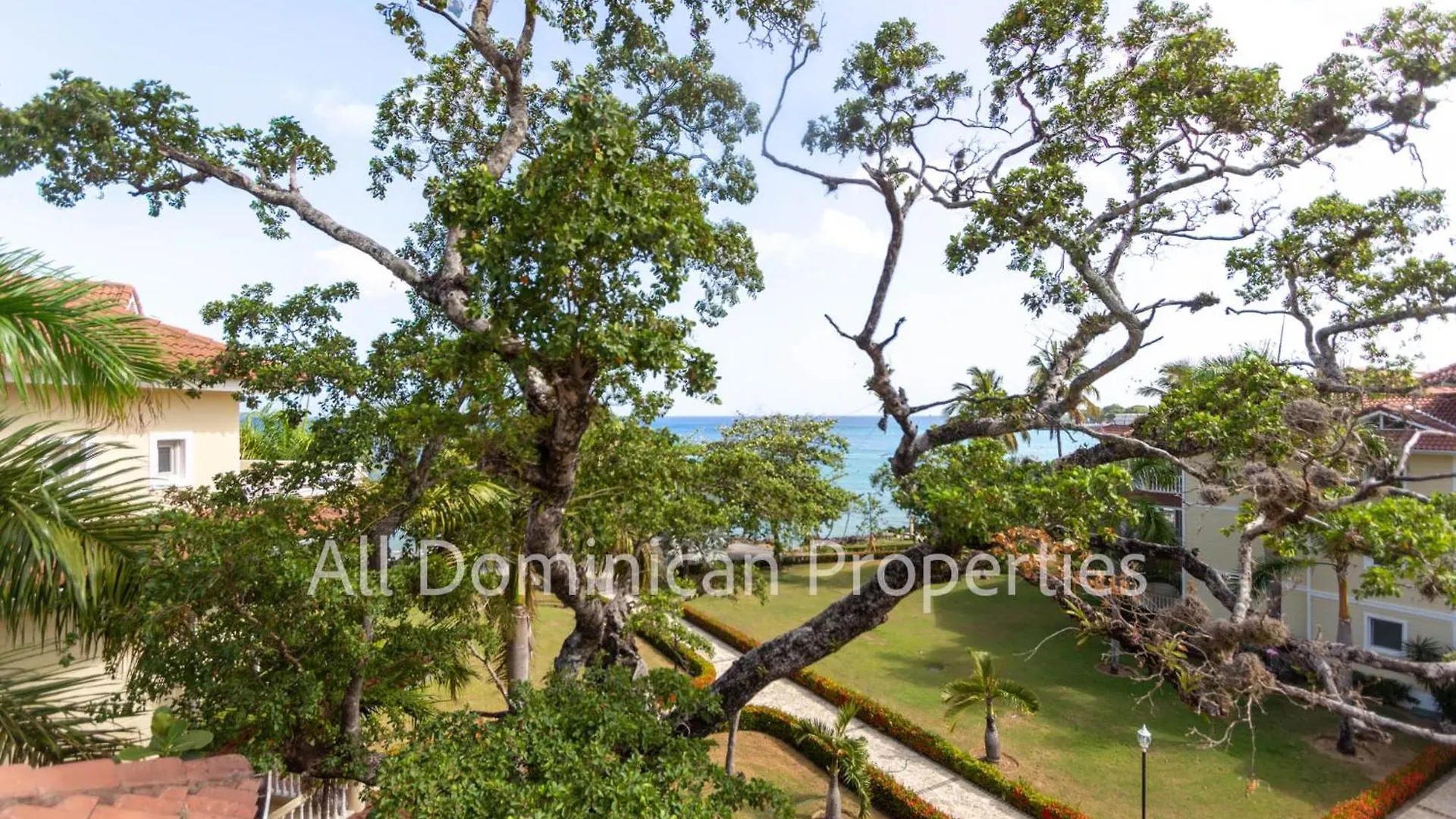 Hispaniola Beach Official, Sosua!